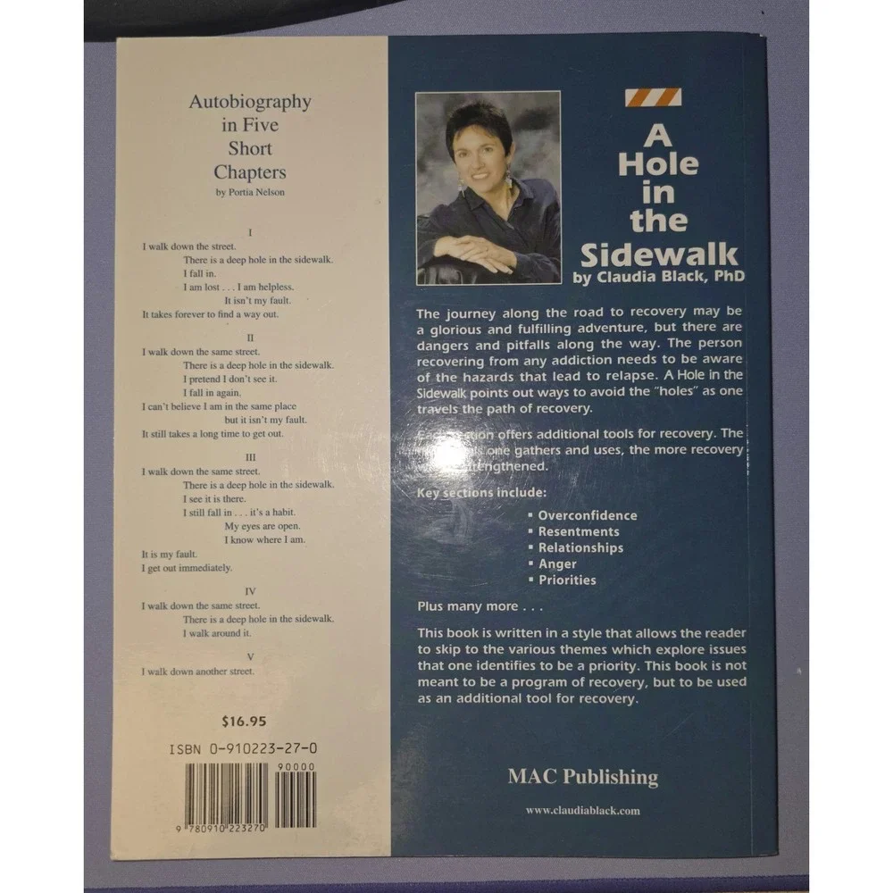 Hole in the Sidewalk : A Recovering Person's Guide to Relapse Prevention by...